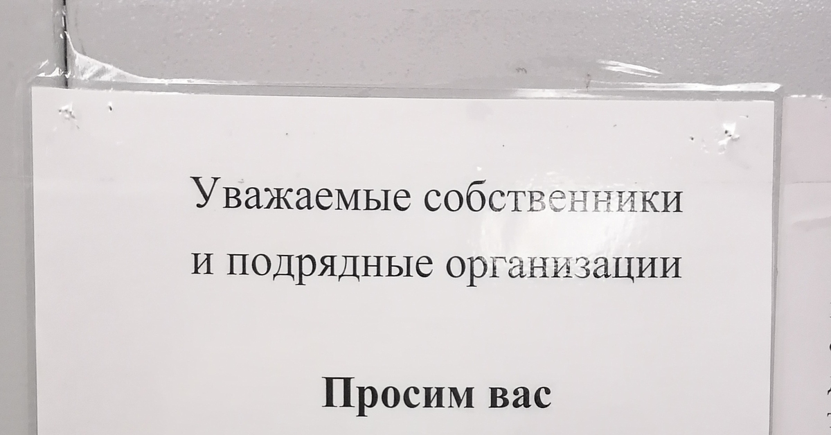 Встретил в лифте на заказе Пикабу