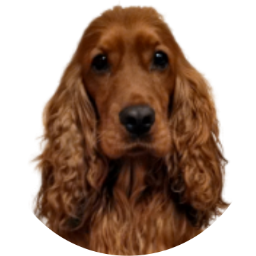 Niknikmd