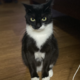 ������ ������������ Zusha90