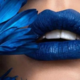 Bird.in.blue