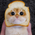 pikabutina