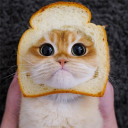 pikabutina