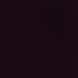 lelkass11