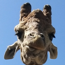 mr.pooppy.butt