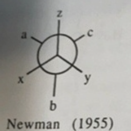 NewNewMan
