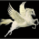 ������ ������������ pegasus33
