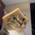 DavydOffDenis