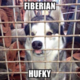 Аватар пользователя Hufky87