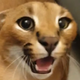 ����� ����� ������ ���� �����������
