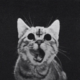 ������ ������������ Satan.cat999