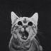 Satan.cat999