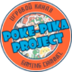 ������ ������������ PokePikaProject