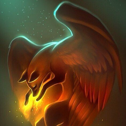 fire.freedom.FOX