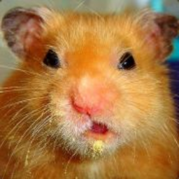 libhamster