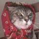Аватар пользователя Hampach