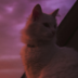 Animatro