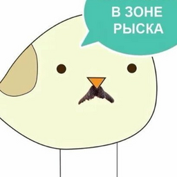 thekartoshkoed