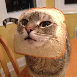 Pizdecnahoyblyat