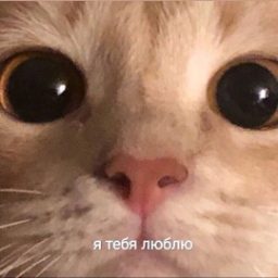 Oleg.BananOfob