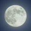 Kalter.Mond