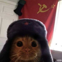 Evlskiy