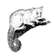   lemur.galago
