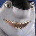 hermitshark