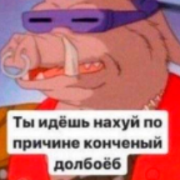 visin