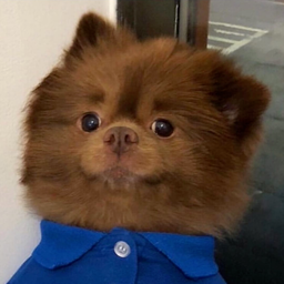 Nexodacimal