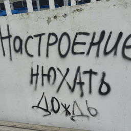 tik7tak