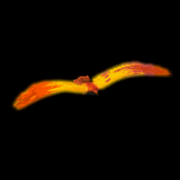 PhoeniXAAM