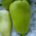 Pavelnet