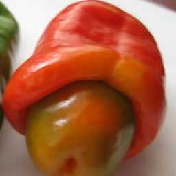bigpepper