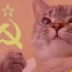 Аватар пользователя Ouroravita
