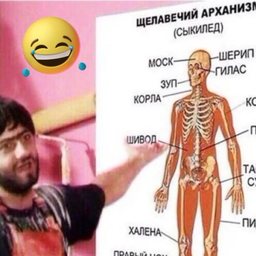 FadeevAlexandr