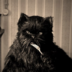 BehemothCat001
