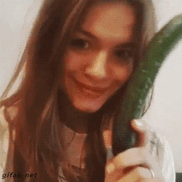 vintovka.net