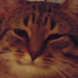 Annemi03