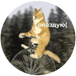 Skotti