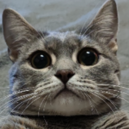 Yukisneg
