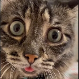 DmitrL