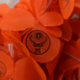 Аватар пользователя Floravelle