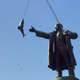 ������ ������������ Damirald