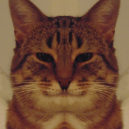 Screamerok