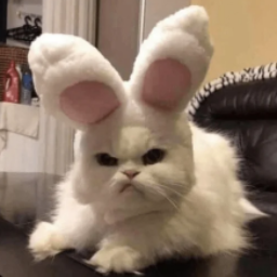 aquacat