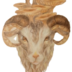 DenisovVA