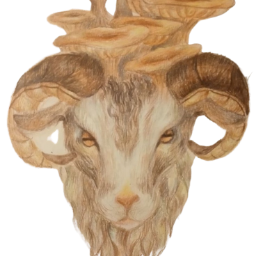 DenisovVA