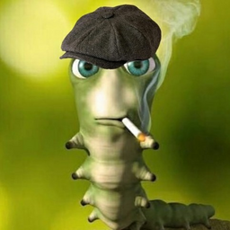Kladman69