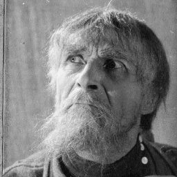 starikkrupsky