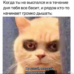 sh1nob1
